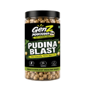 Pudina Blast